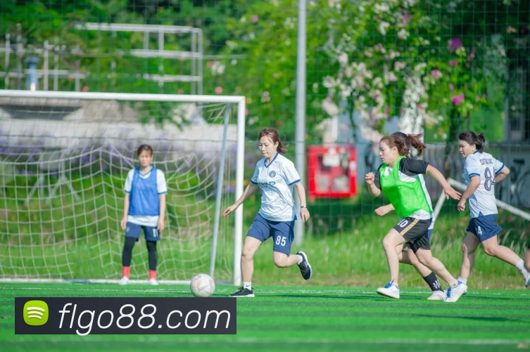 富联娱乐官网发展历程